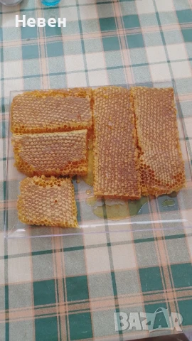 Пчелни майки - Отводки, снимка 11 - За пчели - 37024156