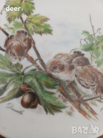 Немска порцеланова чиния за стена, снимка 2 - Декорация за дома - 42986545