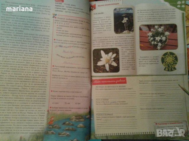 Голямата ваканция след 4 клас, снимка 2 - Детски книжки - 26555917