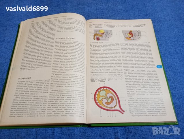 "Енциклопедичен речник на младия биолог", снимка 12 - Енциклопедии, справочници - 43936253
