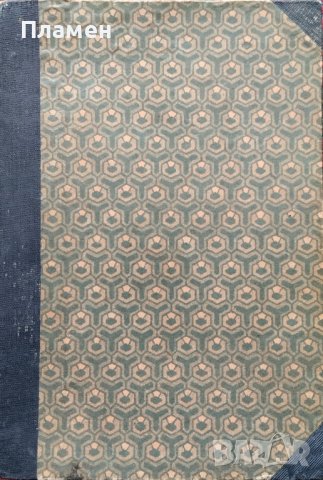 Ева. Скици и впечатления Андрей Протичъ /1907/, снимка 12 - Антикварни и старинни предмети - 44100296
