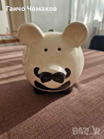 Прасенце касичка