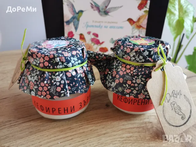 ПРОБИОТИК ~ Тибетски КЕФИРНИ зърна Кефир за млечна ферметнация , снимка 7 - Домашни продукти - 42437691