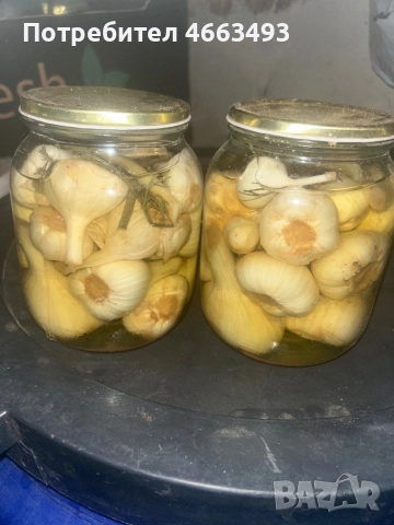 Български млечен чесен