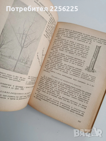 Наръчник по овощарство 1960г, снимка 7 - Специализирана литература - 53385359