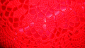 Червени декоративни възглавници-3 броя, снимка 6