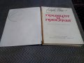 Книга Принцът и Просякът, снимка 2