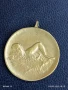 Рядък медал ПЪРВО МЯСТО ЦС ДОСО 50м. гръб жени 1953г. за КОЛЕКЦИОНЕРИ 28159, снимка 4