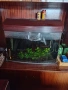 Аквариум 80 литра, снимка 1