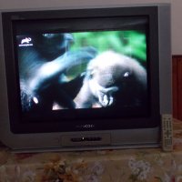 Телевизор 28",кинескоп,100Hz,Daewoo, снимка 1 - Телевизори - 28966546