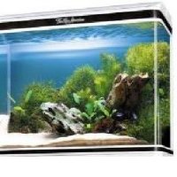 аквариум 190литра, енерго спестяващо осветление и дънен филтър, снимка 1 - Аквариуми - 27179334