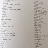 Тематичен руско-български речник, снимка 7 - Чуждоезиково обучение, речници - 32019509