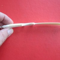 Страхотен нож от слонова кост 19 век, снимка 8 - Колекции - 37853499