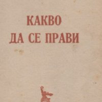 Николай Чернишевски - Какво да се прави? (1948), снимка 1 - Художествена литература - 43184858
