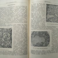 Ръководство по частна патологична анатомия / Практическо ръководство по патологична анатомия. , снимка 2 - Специализирана литература - 27569751