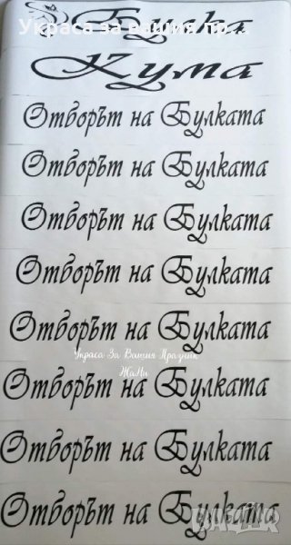 Ленти за моминско парти с текст по поръчка , снимка 1