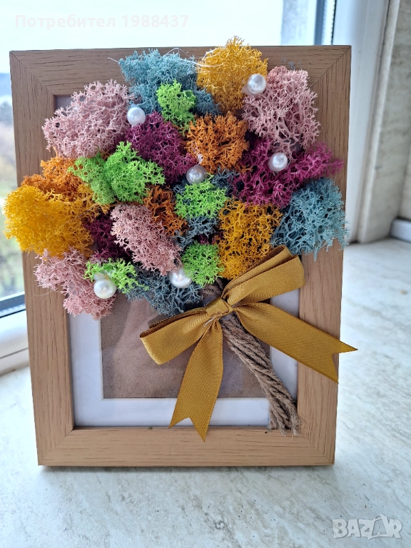 Картини от скандинавски мъх, снимка 1