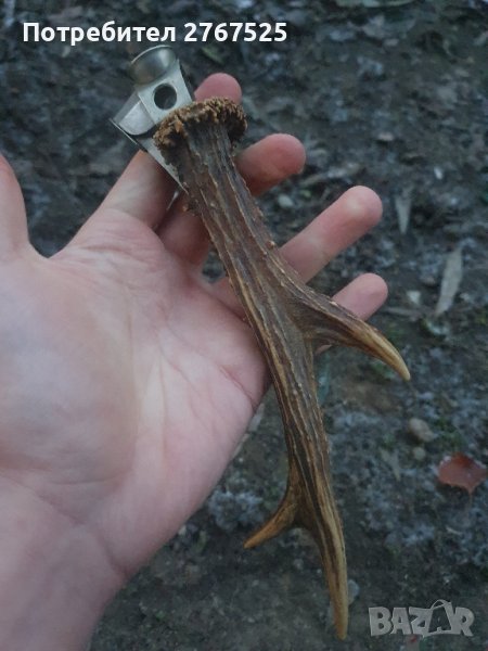 Стара Немска Рогова Резачка за пури V-cutter, снимка 1