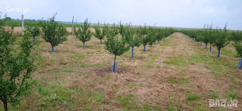 Оценки на недвижими имоти, земеделски земи, автомобили, техника, снимка 1