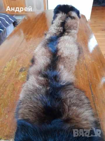 Стара кожа,яка от лисица #3, снимка 3 - Други ценни предмети - 53512540