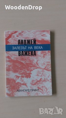 Андрей Важеха - Залезът на века, снимка 1 - Художествена литература - 28726456