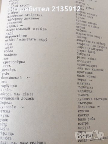 Тематичен руско-български речник, снимка 7 - Чуждоезиково обучение, речници - 32019509