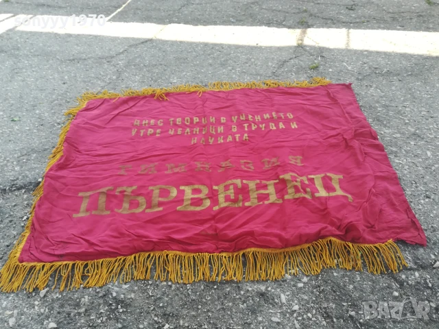 ДКМС-95Х76СМ-ЗНАМЕ ОТ СОЦА 0706251913, снимка 10 - Антикварни и старинни предмети - 50585830