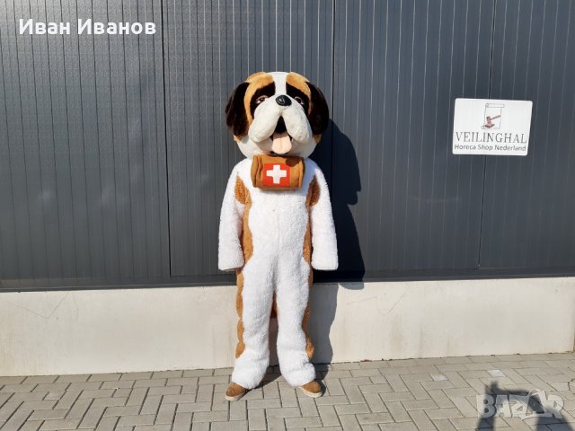 костюм куче санбернар, снимка 1 - Други спортове - 38446188