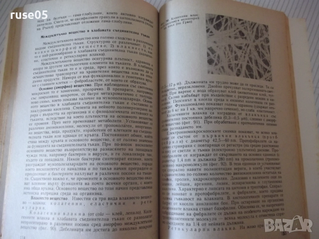 Книга "Обща хистология - Ст. Стефанов" - 252 стр., снимка 7 - Специализирана литература - 52792646