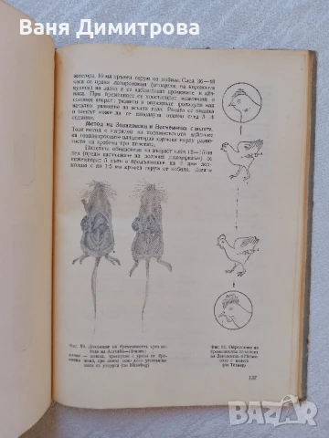 Акушерство на селскостопанските животни , снимка 6 - Специализирана литература - 51257240