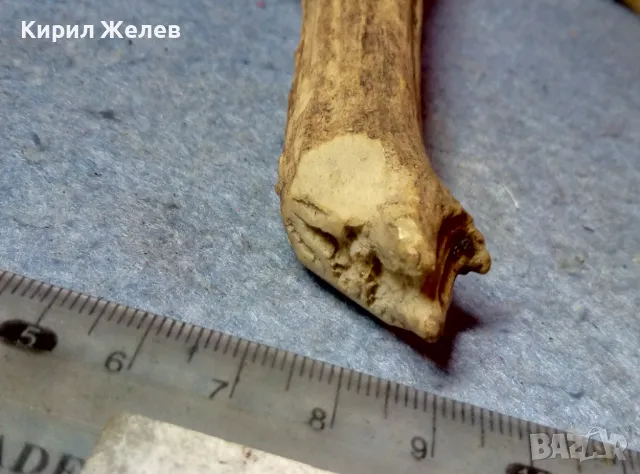 СТАР МАЛЪК ЕЛЕНОВ РОГ За КОЛЕКЦИЯ ЛОВНА ХИЖА ТЕМАТИЧЕН ИНТЕРИОР ДРЪЖКА За НОЖ 47626, снимка 4 - Други ценни предмети - 47562352