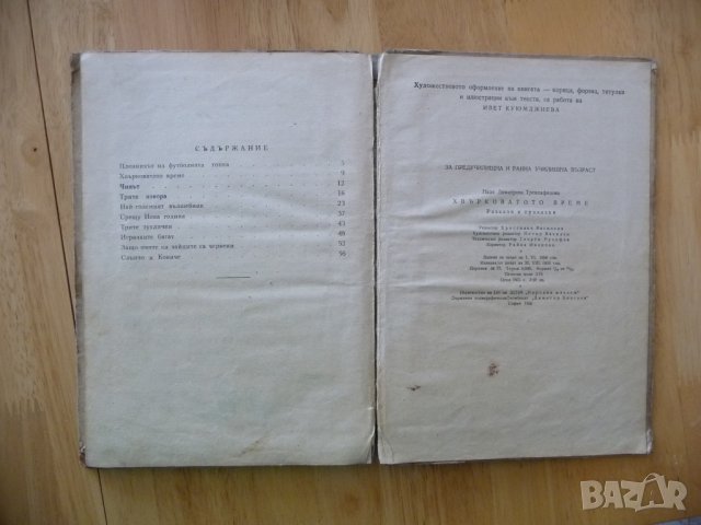 Хвърковатото време Надя Трендафилова детски истории инижка  , снимка 7 - Детски книжки - 37480794