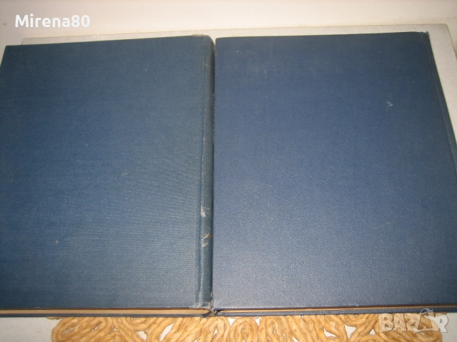 Большой немецко-русский словарь - 1969 г., снимка 10 - Чуждоезиково обучение, речници - 52353790