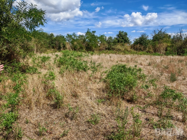 Продава се дворно място 2000м² , снимка 10 - Парцели - 51712104