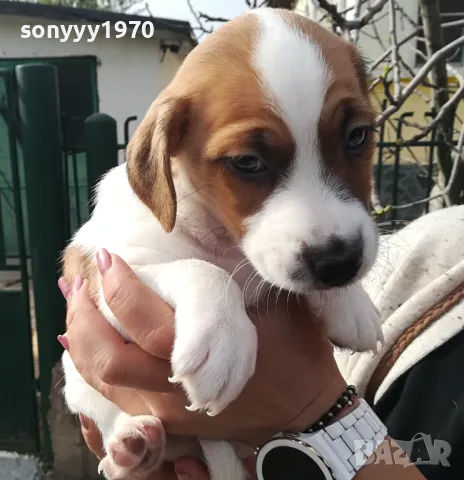 ДЖАК СИ ТЪРСИ ЖЕНСКА ЗА БЕБЕТА 1604251937