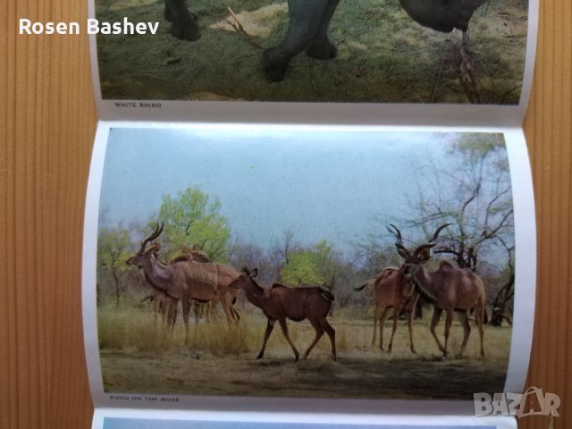  Картичка. Плик.Албум., снимка 5 - Филателия - 28657507