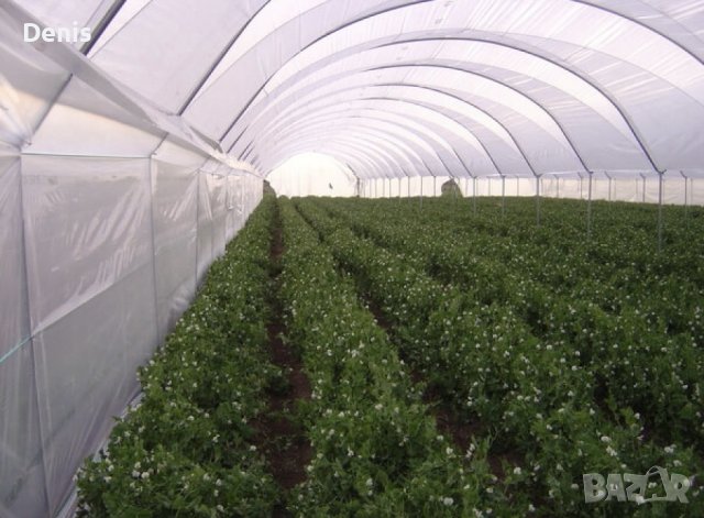 180 микрона Полиетилен за Оранжерии - Превъзходство в Земеделието!, снимка 4 - Оранжерии - 43757367