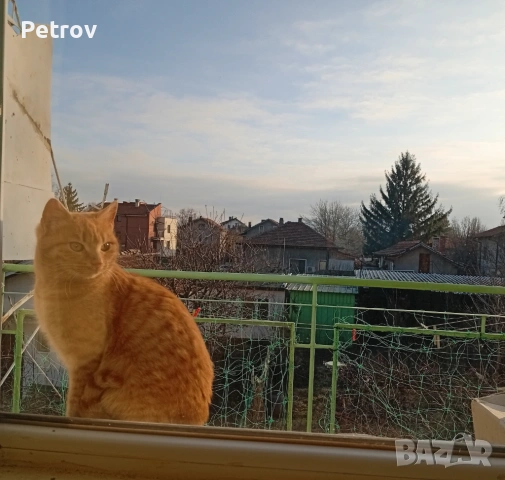 2-стаен в къща, НАЕМ, от собственик