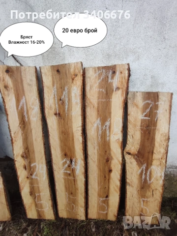 Янове от Бряст и Черница 