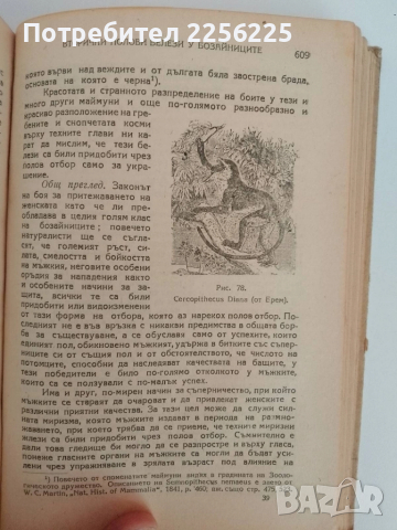 Произходът на човека и половият отбор 1947г, снимка 3 - Специализирана литература - 51520507