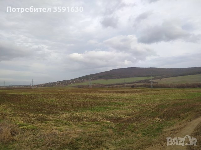 Парцел 7000м2 с.Осеново от Собственик, снимка 5 - Парцели - 43252442