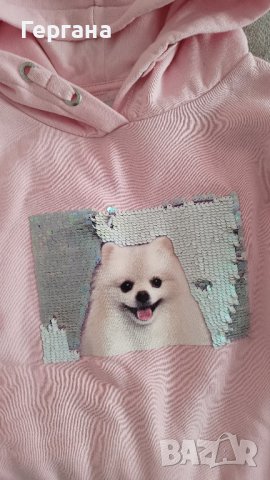 Худи , снимка 5 - Детски анцузи и суичери - 43816499