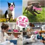 Нов комплект играчки за куче 6 броя дъвчене, почистване на зъби Игра, снимка 7