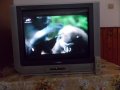 Телевизор 28",кинескоп,100Hz,Daewoo