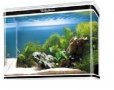 аквариум 190литра, енерго спестяващо осветление и дънен филтър, снимка 1 - Аквариуми - 27179334