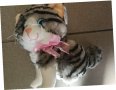 Мяукащо коте, плюшена играчка , снимка 4