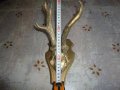 Старинен немски ловен трофей 4 , снимка 4