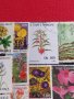 Пощенски марки смесени ЦВЕТЯ от цял свят перфектно състояние за КОЛЕКЦИЯ 22632, снимка 15