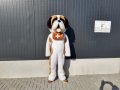 костюм куче санбернар, снимка 1 - Други спортове - 38446188