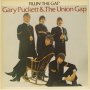 Filling The Gap-Gary puckett the union gap, снимка 1
